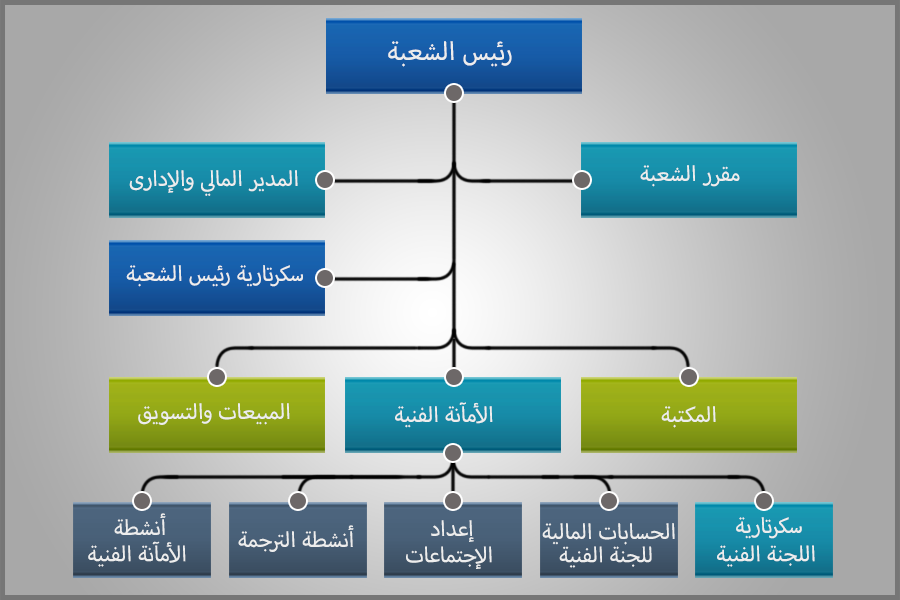 هيكل الشعبة الكهروتقنية المصرية